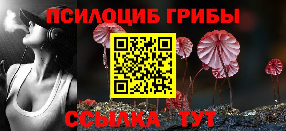 Псилоцибиновые грибы MAGIC MUSHROOMS  Вход с VPN  Камень-на-Оби 